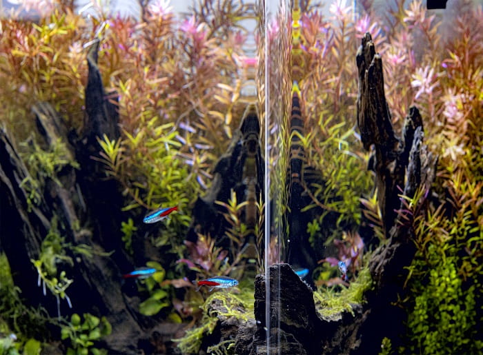 124138 OptiBent Set 30 black 10.jpg